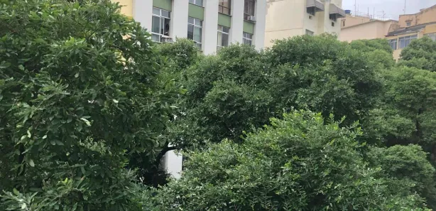 Apartamento com 1 Quarto à venda, 53m² no Catete, Rio de Janeiro