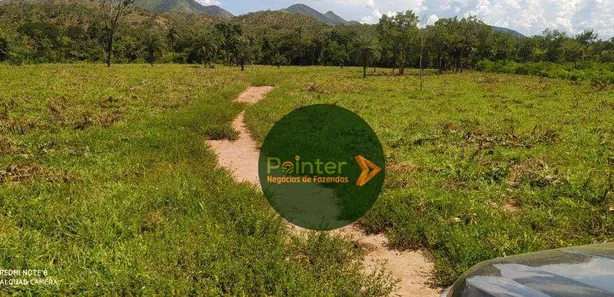 Fazenda/Sítio à venda, 19698800m² no , Niquelândia
