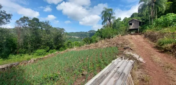 Lote/Terreno à venda, 30m² no Pinhal Alto, Nova Petrópolis