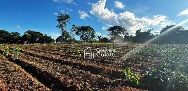 Fazenda/Sítio com 3 Quartos à venda, 40000m² no Setor IND. MUNIR CALIXTO, Anápolis