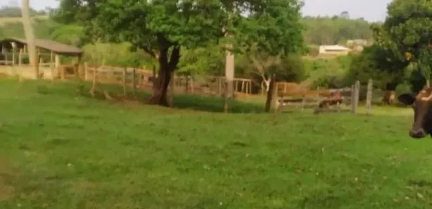 Fazenda/Sítio à venda, 100000m² no Área Rural de Anápolis, Anápolis