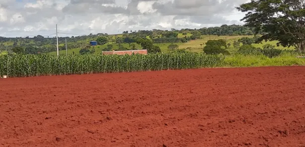 Fazenda/Sítio à venda, 2000m² no Área Rural, Goianira