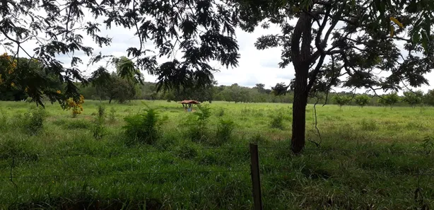 Fazenda/Sítio à venda, 20000m² no , Araçaí
