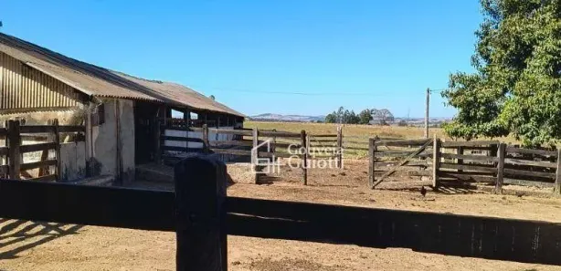 Fazenda/Sítio com 3 Quartos à venda, 415756m² no Campo Limpo, Campo Limpo de Goiás