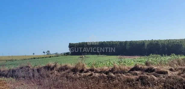 Fazenda/Sítio com 3 Quartos à venda, 37m² no Centro, Avaí