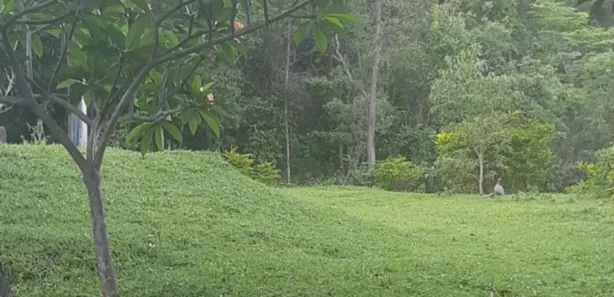 Fazenda/Sítio à venda, 300000m² no Área Rural de Sobradinho, Brasília
