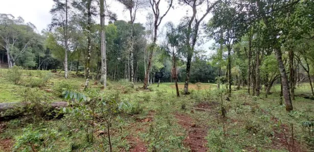 Lote/Terreno à venda, 22000m² no , Nova Petrópolis