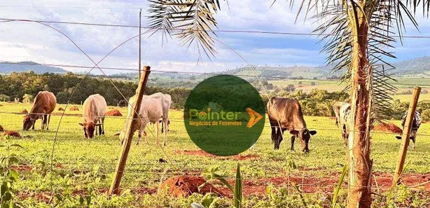 Fazenda/Sítio à venda, 290400m² no , Itaberaí