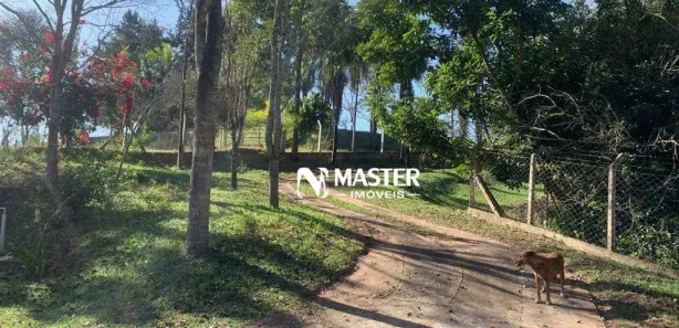 Fazenda/Sítio com 2 Quartos para venda ou aluguel, 212m² no Centro (Amadeu Amaral), Echaporã