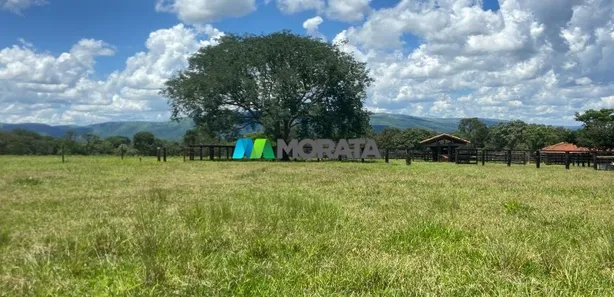 Fazenda/Sítio com 1 Quarto à venda, 1300m² no , Buritis