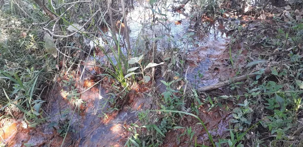 Lote/Terreno à venda, 20000m² no , Araçaí