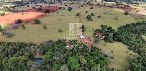 Fazenda/Sítio com 3 Quartos à venda, 960000m² no Área Rural, Goianira