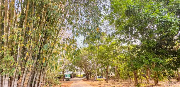 Fazenda/Sítio à venda, 2422m² no , Terezópolis de Goiás
