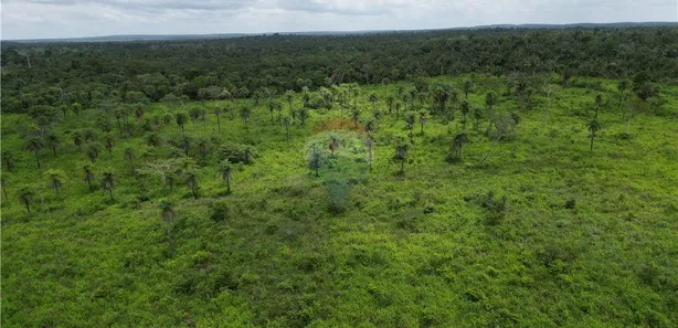 Fazenda/Sítio com 2 Quartos à venda, 339000m² no , Piraquê