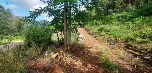 Lote/Terreno à venda, 30m² no Pinhal Alto, Nova Petrópolis