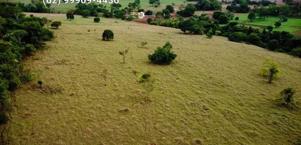 Fazenda/Sítio à venda, 480000m² no Área Rural, Goianira