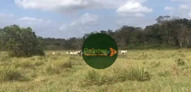 Fazenda/Sítio à venda, 16870000m² no , Bonfim