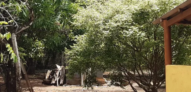 Fazenda/Sítio com 2 Quartos à venda, 10000m² no Centro, Padre Bernardo