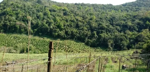 Lote/Terreno à venda, 120000m² no Forqueta Baixa, Vale Real