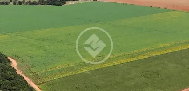 Fazenda/Sítio à venda, 200m² no Vila Santa Maria, Inhumas