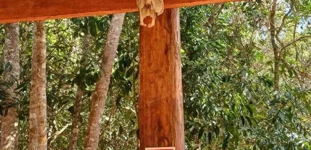 Fazenda/Sítio com 2 Quartos à venda, 200m² no Abadiânia, Abadiânia