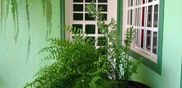 Sobrado com 4 Quartos à venda, 200m² no Setor Norte, Brasília
