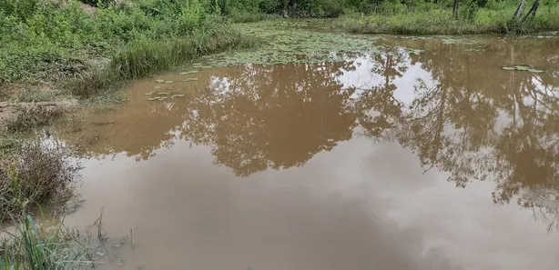 Lote/Terreno à venda, 20000m² no , Fortuna de Minas