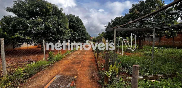 Fazenda/Sítio com 3 Quartos à venda, 2000m² no , Caetanópolis