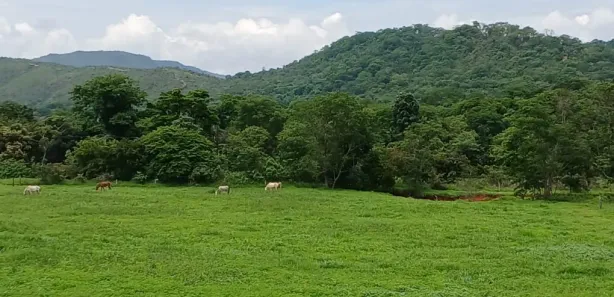 Fazenda/Sítio à venda, 28m² no Brazlândia, Brasília