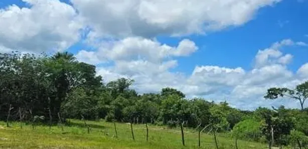 à venda, 726000m² no Paus de chapada, José de Freitas