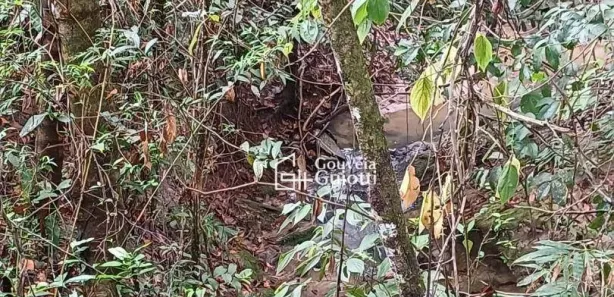 Fazenda/Sítio com 3 Quartos à venda, 4640m² no , Silvânia