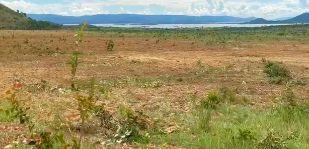 Fazenda/Sítio à venda, 4114m² no , Niquelândia