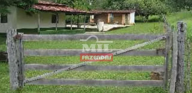 Fazenda/Sítio à venda, 185m² no , Jaraguá