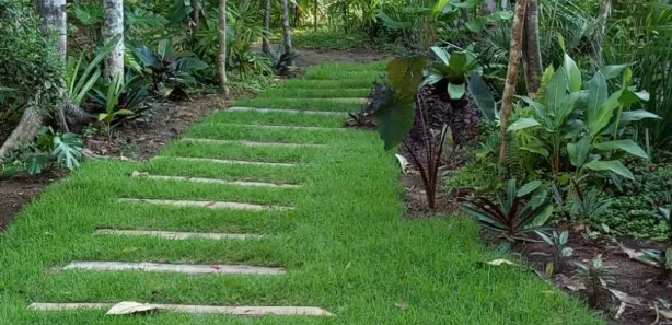 Casa de Condomínio com 2 Quartos à venda, 1000m² no Trancoso, Porto Seguro