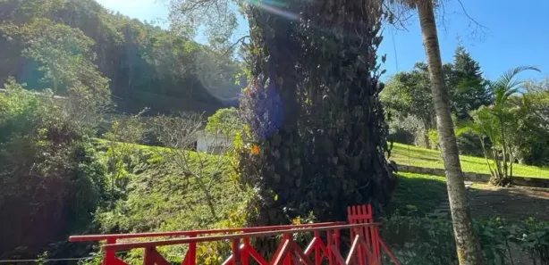 Fazenda/Sítio com 5 Quartos à venda, 8540m² no Itaipava, Petrópolis