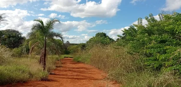 Lote/Terreno à venda, 20000m² no Park Way, Brasília