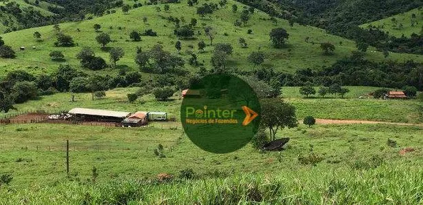 Fazenda/Sítio à venda, 4200000m² no , São Luíz do Norte