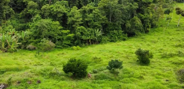Lote/Terreno à venda, 4500m² no Comunidade Urbana de Jaboti, Guarapari