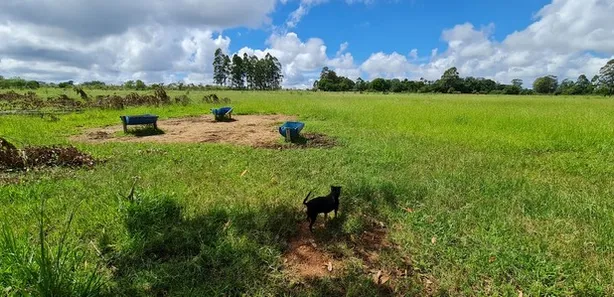 Fazenda/Sítio com 1 Quarto à venda, 20000m² no Brazlândia, Brasília