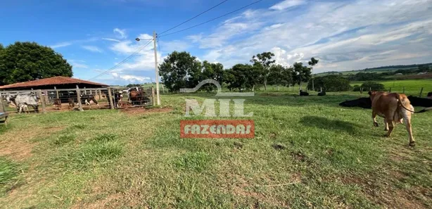 Fazenda/Sítio à venda, 500m² no Área Rural de Inhumas, Inhumas