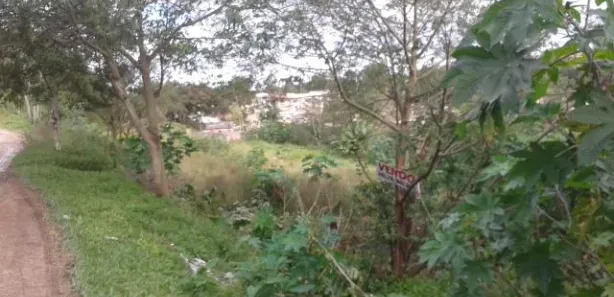Lote/Terreno à venda, 4800m² no Santo Onofre, Viamão