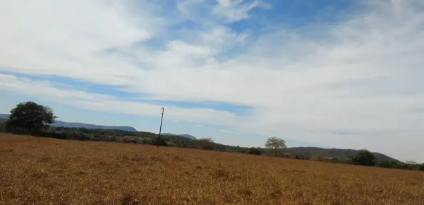 Fazenda/Sítio com 1 Quarto à venda, 400m² no Rodovia BR 153, Jaraguá