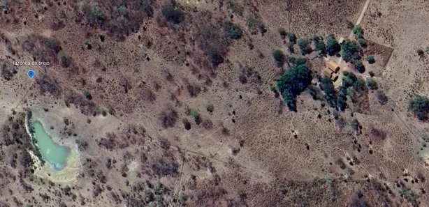 Fazenda/Sítio com 8 Quartos à venda, 4382000m² no , Dianópolis