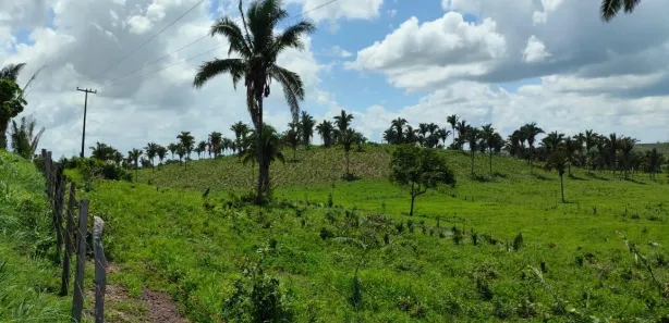 Fazenda/Sítio com 3 Quartos à venda, 1400m² no Zona Rural, Coroatá