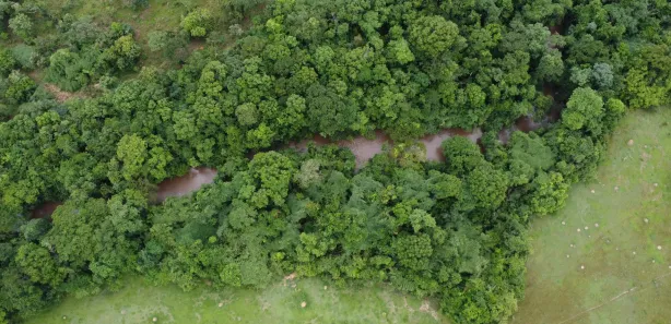 Fazenda/Sítio à venda, 1654892m² no , Itaberaí
