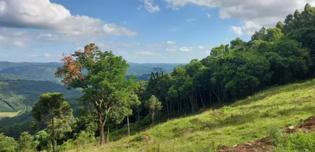 Lote/Terreno à venda, 13m² no Linha Imperial, Nova Petrópolis