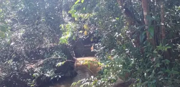 Fazenda/Sítio com 4 Quartos à venda, 230m² no , Leopoldo de Bulhões