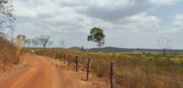 Fazenda/Sítio à venda, 560m² no , Coroatá
