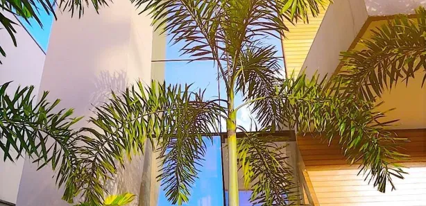 Casa de Condomínio com 4 Quartos à venda, 290m² no Pitimbu, Natal