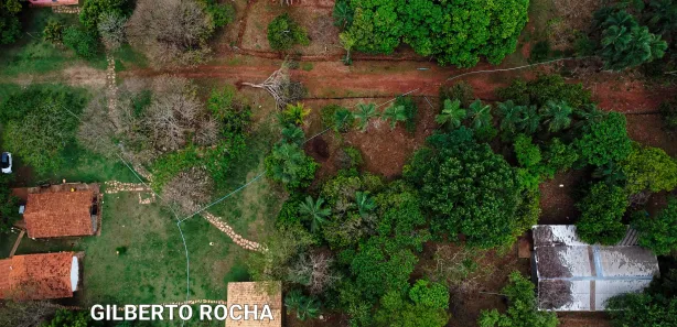 Fazenda/Sítio à venda, 1452000m² no Área Rural, Goianira